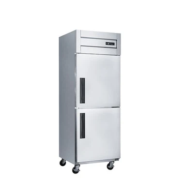 Freezer Upright Komersial 2 pintu